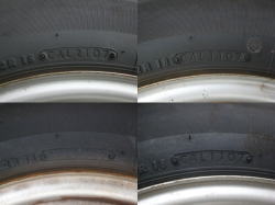 �o���p�^�C���@�U��